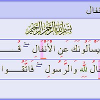 Gemini (@caeldina) 's Twitter Profile