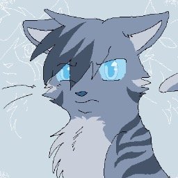 Male. Easily Angered. 8 moons. Loner. Blind.