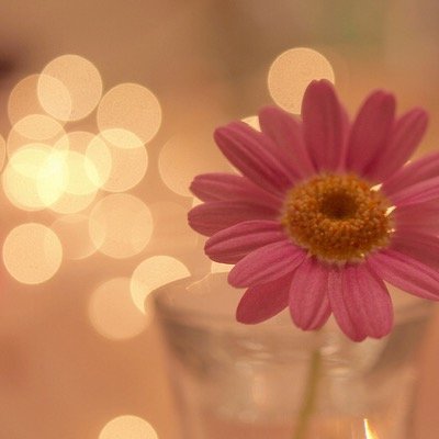 تغريدي قليل .. ولكن .. رتويتي .. يعبر عن شخصيتي .. Mother .. sweet mother