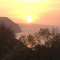 Haye Farm (@hayefarm) Twitter profile photo
