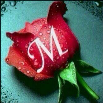 ‏‏‏‏‏‏‏‏‏**عاشق نجوم ارب ايدول**