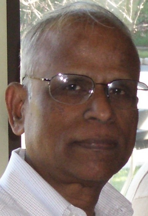 Professional engineer building successful green energy plants.