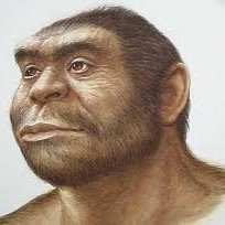 ジャンゴさんのプロフィール画像