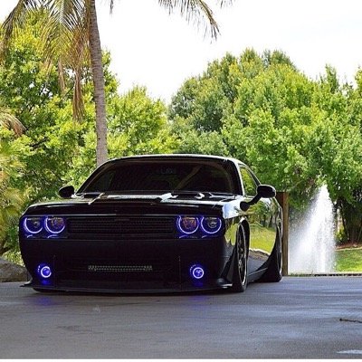 Pakito03031995's profile picture. 