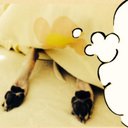 しばた (@0801syk) Twitter
