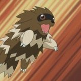 Big Pokemon Fan!! I like to battle, travel ans making friends