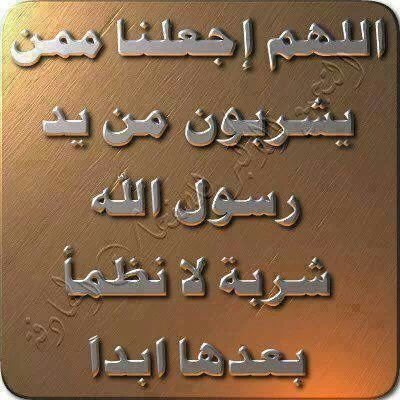 اربعيني اسكن عروس البحر الاحمر