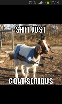 dom_dsouza's profile picture. 