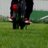JoepAFKA's profile image