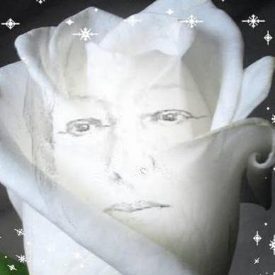 TOUTES LES INFOS SUR TOUT..VOUS ME SUIVEZ ? = JE VOUS SUIS ! POURQUOI MES RETWEETS DISPARAISSENT ?? 