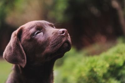 cevatdemirel272's profile picture. 