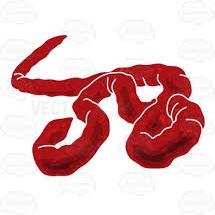 ebolasigns's profile picture. Ebola Symptoms and early warning signs of Ebola for more info visit our website: http://t.co/Afc8cBNia2 #Ebola #CDC #EbolaOutbreak