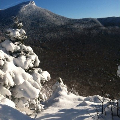 GeorgeLapierre1's profile picture. 