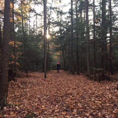 Math Teacher in the SCDSB in Ontario Canada