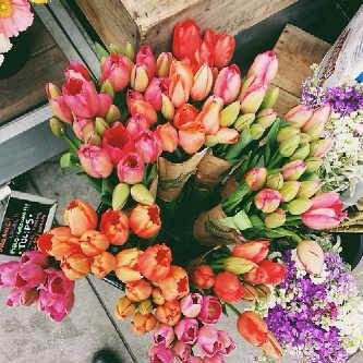 soso12kaka's profile picture. 