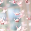 may_arch - @mayarch_aj - Twitter