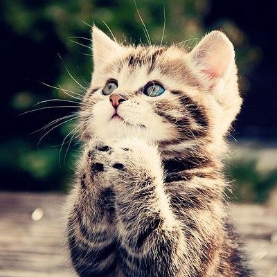 恋愛の名言、恋愛の豆知識、恋のお薬をつぶやいています！面白い物からちょっぴり切ない系まで是非フォローして下さい。