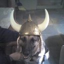 Liz Gilbert - @gallupprof - Twitter