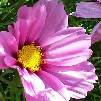 weheliye2013's profile picture. 