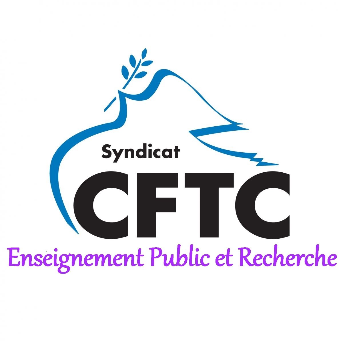 #Syndicat #CFTC #Enseignement Public et #Recherche. Accompagnement et défense des collègues #carrière #rémunération #mobilité