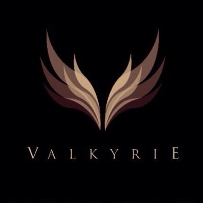 valkyrie_club's profile picture. 