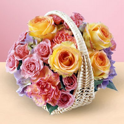 mramalshameri1's profile image