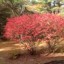 jeri harris - @irishgal127 - Twitter