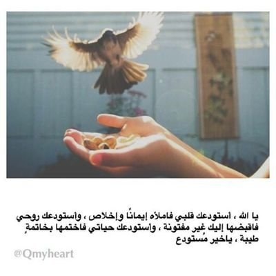 ‏‏‏‏‏‏‏‏حسـاب للأدعيـه و لـذكر الله .. ❤ اللهم اجعل هذه الأذكار في ميزان حسناتي و صدقة جارية لي بعد موتي و لموتانا و موتى المسلمين ❤