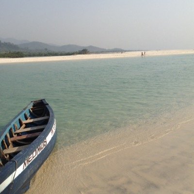 443Claudius's profile picture. Claudius443