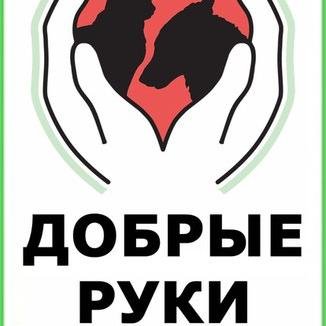 PriutBR_32's profile picture. ПРИЮТ ДЛЯ БЕЗДОМНЫХ ЖИВОТНЫХ