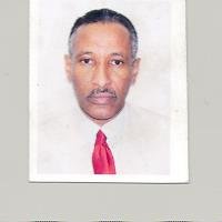 mechanical engineer and energy expert