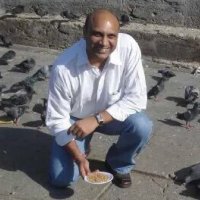 Mangapati Pallam Raju (@pallamrajumm) 's Twitter Profile
