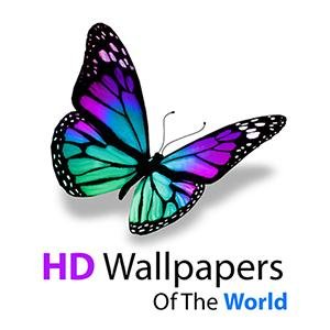 My Blog is the best platform for Wallpapers. My Blog has a professional collection of wallpapers of the world.