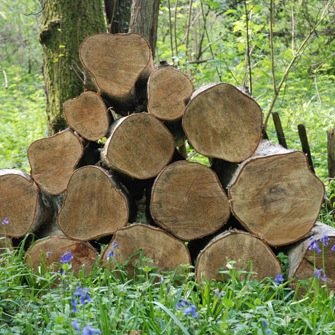 ButlerWoodfuels's profile picture. A bespoke wood fuel supply service, using locally sourced lumber, producing split & round logs and kindling, cut to clients own requirements.