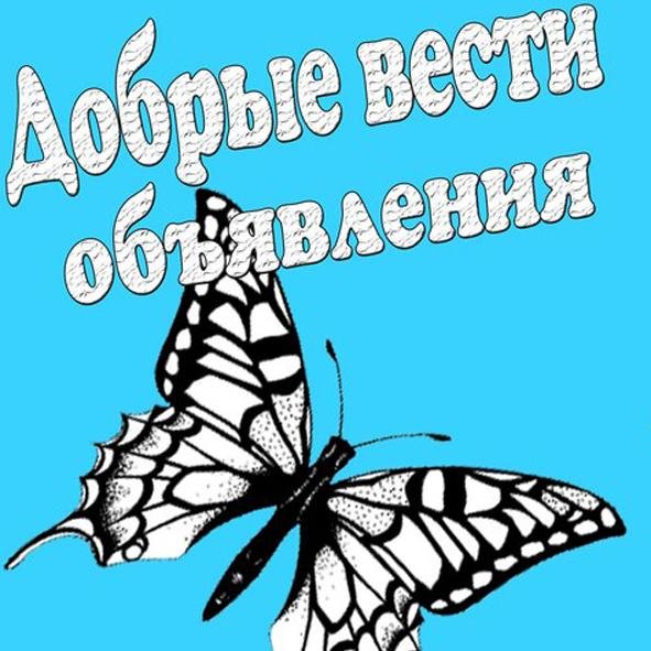 chob74's profile picture. 