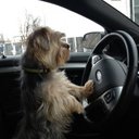 Rob Pope Ferguson - @jbtgolfsupply - Twitter