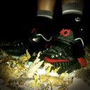 Max Whitson - @whitson11 - Twitter