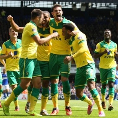 Norwich City supporter