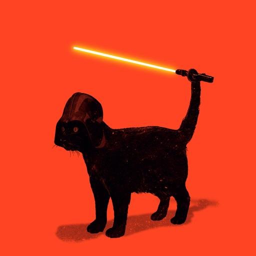 BabelJahson's profile picture. 