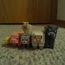 tammy coon - @billiemeg - Twitter