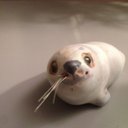 eva berg - @EvaBerg56 - Twitter