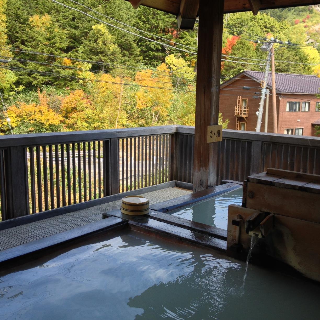 温泉大好き、お得な情報大好き人間です♪出来るだけ、お得になる情報流しますよ＾＾