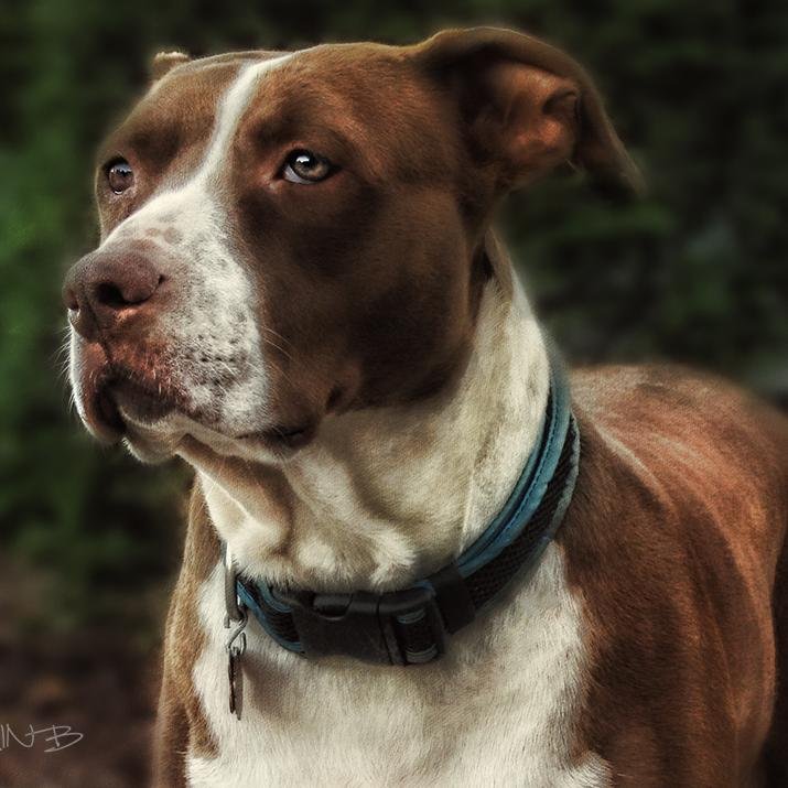Born on the rural southern dusty roads. Social conscious mind changing life &  minds one woof at a time.
