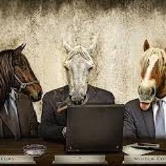 fidhook's profile picture. An outdoorsy NBCT, committed to improving learning through technology.