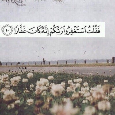 لأني أحببتك جعلت هذا الحساب صدقه جاريه لك ❤️.