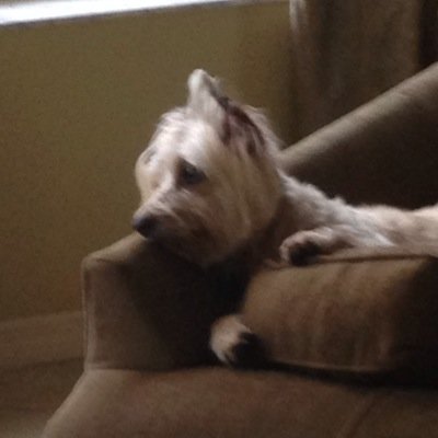 DunphyStacie's profile picture. 