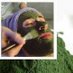 Jual Masker Alami (@tiensmasker) Twitter profile photo
