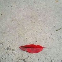 rtBandcamp (@rtbandcamp) 's Twitter Profile