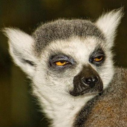 Eddieventos's profile picture. 