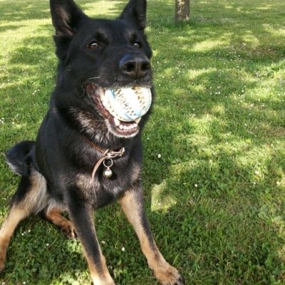 adicta a la levtura y a los animales
